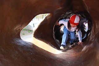 大木のトンネル