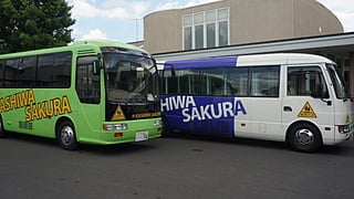 柏さくら幼稚園バス